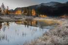 USA-Colorado-Uncompahgre National Forest Pond reflections on frosty sunrise Art Print